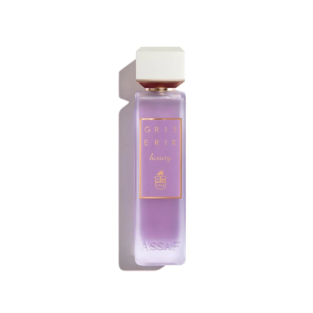 ASSAF Gris Erik 200 ML
